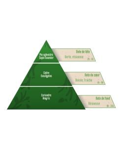 Pomme de Pin - Parfum d'intérieur BIO, 10 ml